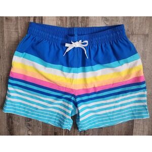 Chubbies Shorts Men's Medium Blue Newport Striped Swim Board Trunk  5" Beach